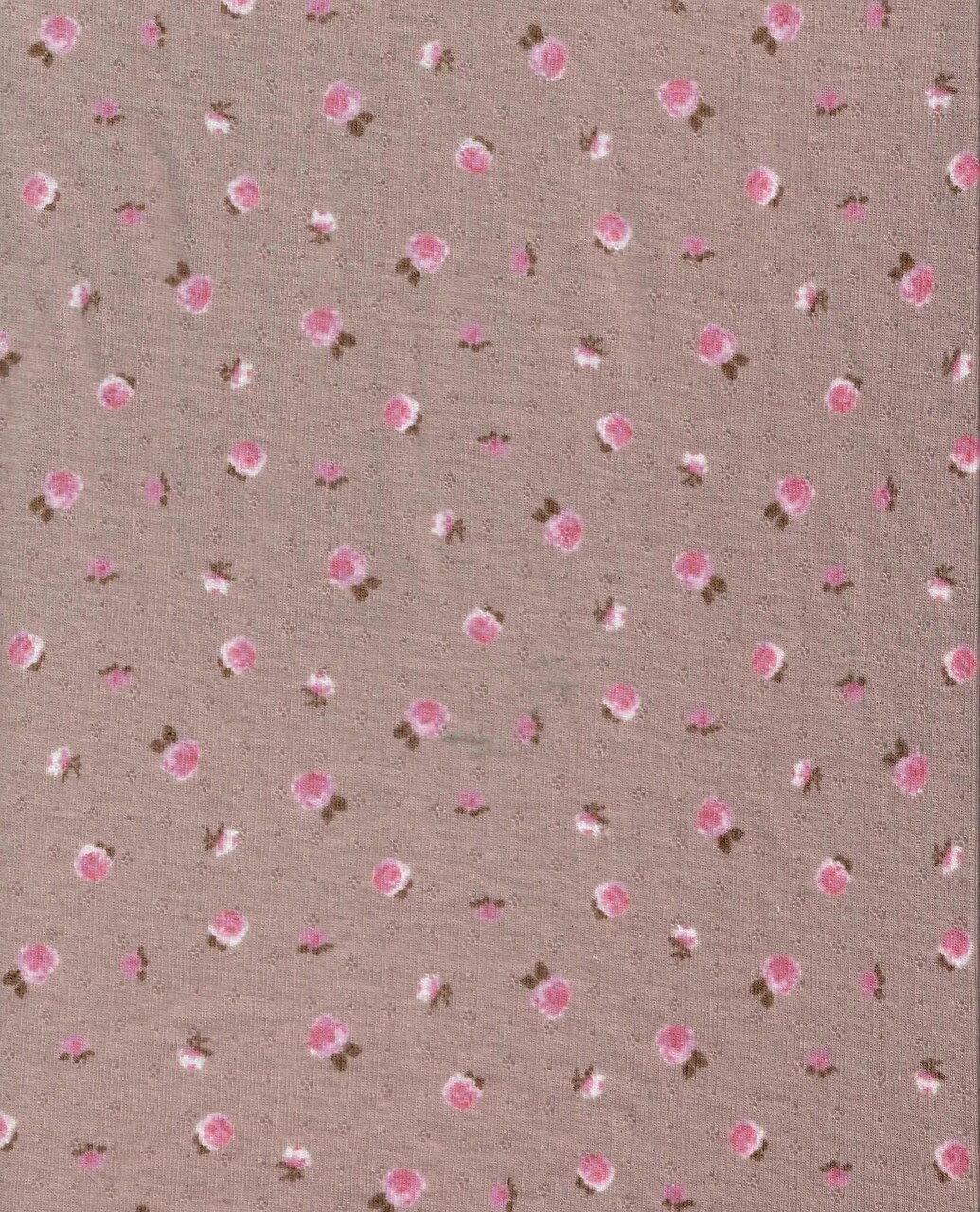 1 Yard Soft Cotton Style Small Flower Ditsy Pointelle Knit Fabric 61/63 Inches Wide